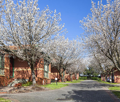 Mount Waverley